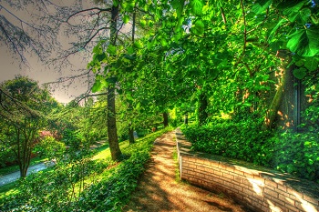 Parque del Oeste - Madrid de JUAN CARLOS NOVOA CORREA